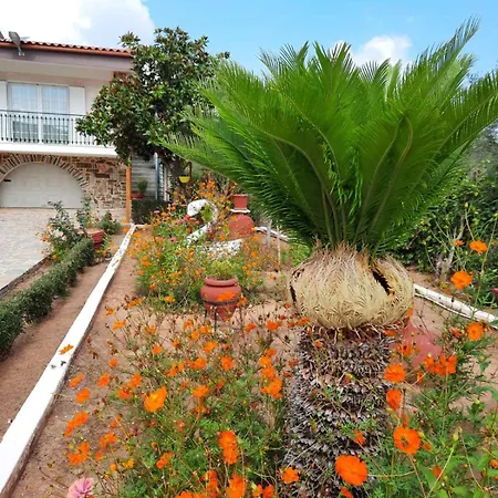 Evia Riviera 펜션 *